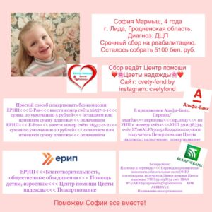 Завершим сбор для Софии все вместе!