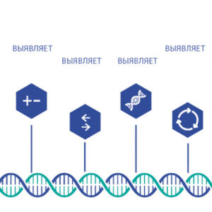 Всё о молекулярно-генетическом исследовании «Foundation One»