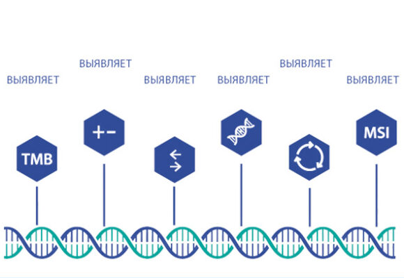 Всё о молекулярно-генетическом исследовании «Foundation One»