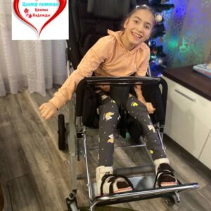 Вы помогли! У Илоны Головницкой появилась удобная коляска.